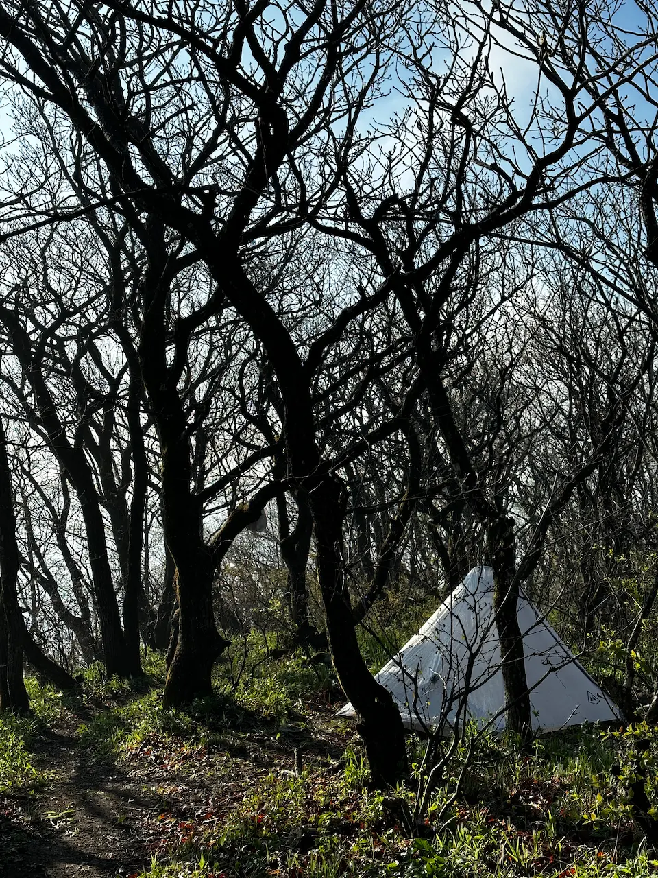 해체 전